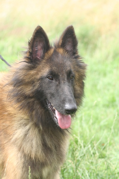 Abysse dite arletty de la Tangi Morgane